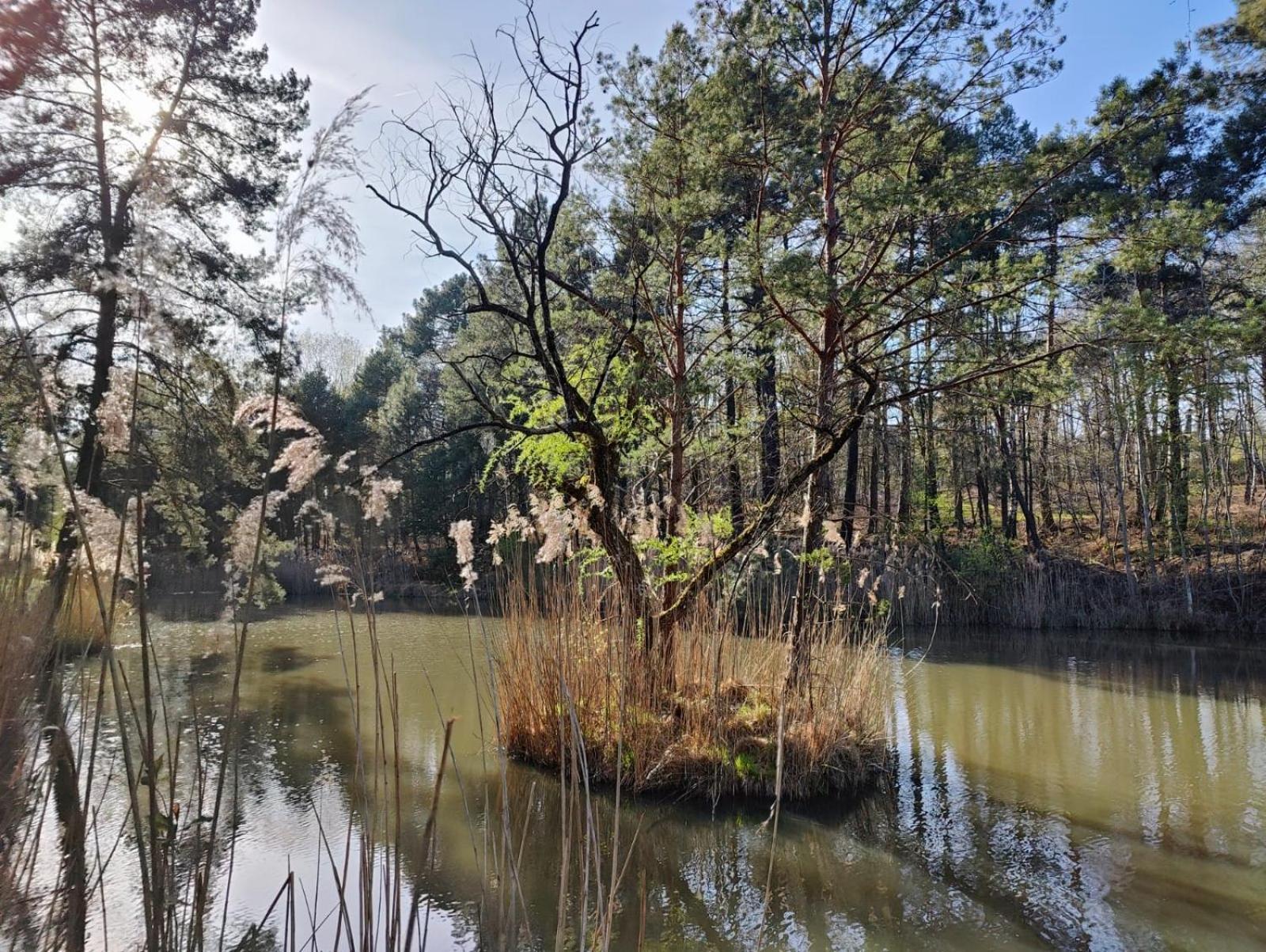 Domaine De Charnay - Charme Et Confort Dans Un Environnement D'Exception Vierzon Exterior foto